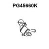 VENEPORTE PG45660K Pre-Catalyst